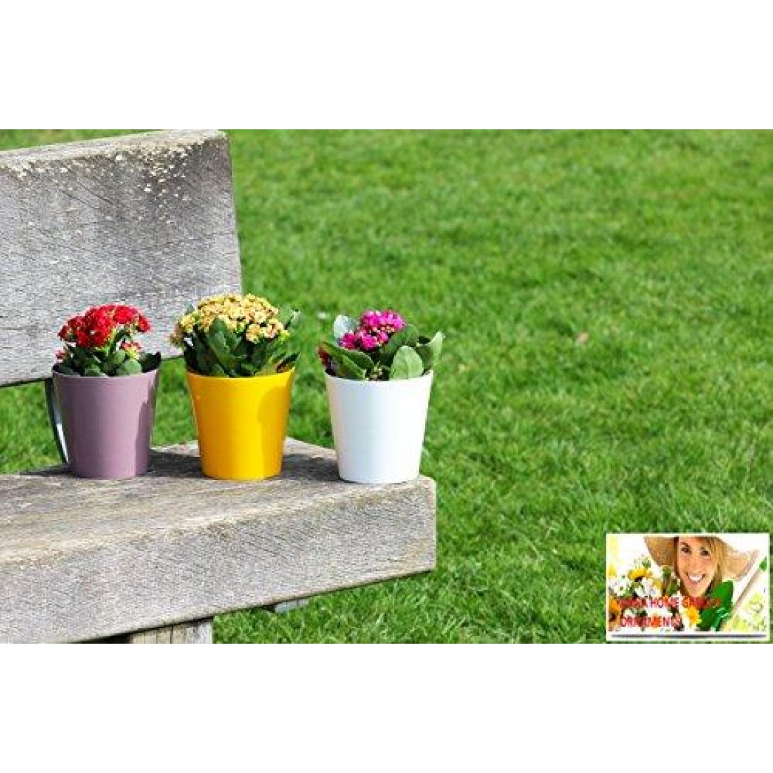 Orange Aga Flower Pot